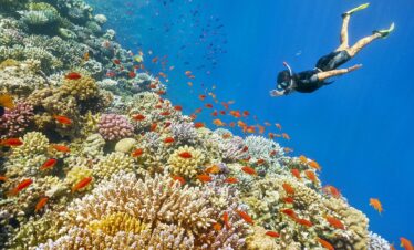 hurghada-red-sea-snorkling-egypt-tour