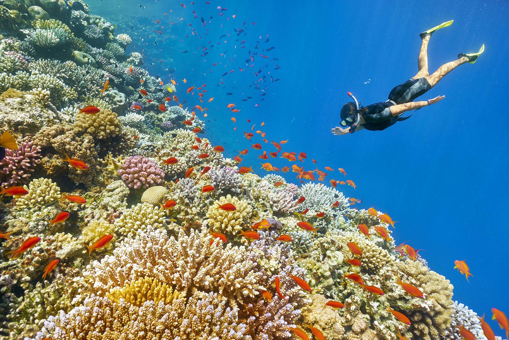 hurghada-red-sea-snorkling-egypt-tour