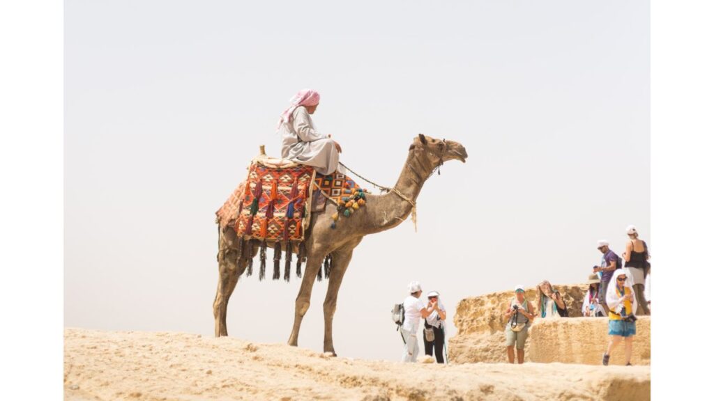 Camel or Horse Ride Scams