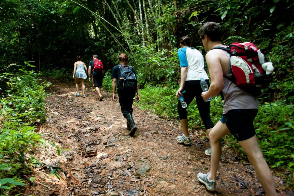 Khao-Sok-National-Park-activities-jungle-hiking