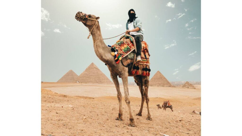 Ride a Camel at Giza