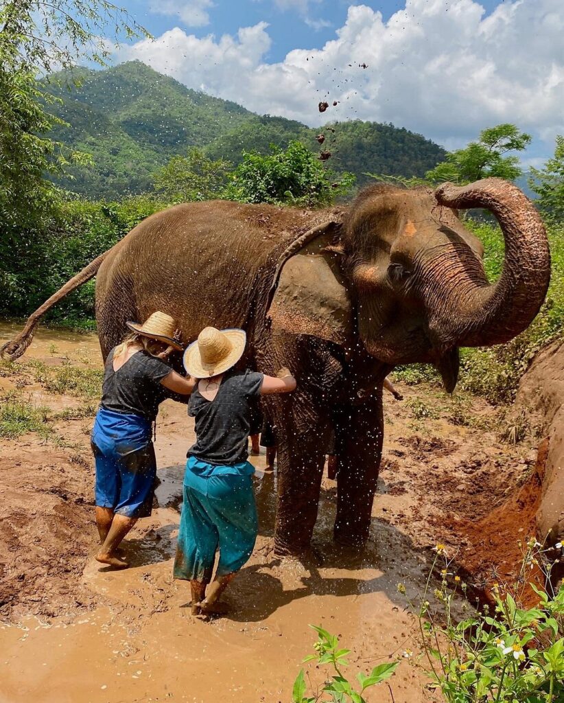 happy-elephant-home-chiang-mai-thailand-tour